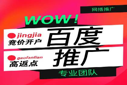 百度竞价推广运营策略：成功案例解析